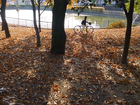 f:id:cangael:20121216144402j:image:left