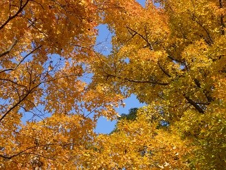 f:id:cangael:20121216144613j:image:right