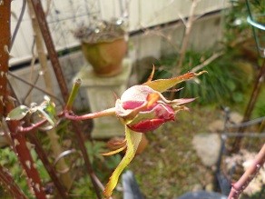 f:id:cangael:20130115124712j:image:left f:id:cangael:20130115124712j:image:left