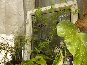 f:id:cangael:20130119123740j:image:right f:id:cangael:20130119123740j:image:right