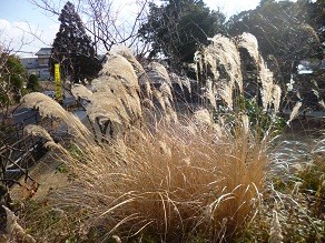 f:id:cangael:20130119145412j:image