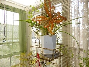 f:id:cangael:20130121111023j:image:right f:id:cangael:20130121111023j:image:right