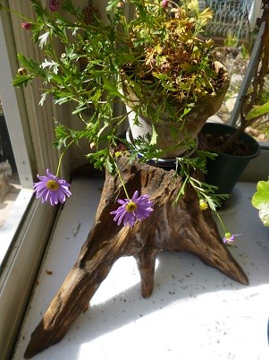 f:id:cangael:20130131121444j:image:left