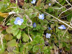 f:id:cangael:20130202141811j:image:left