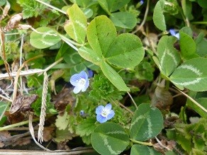 f:id:cangael:20130202141907j:image