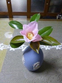 f:id:cangael:20130301124358j:image:left