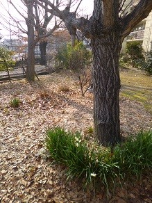 f:id:cangael:20130302153614j:image:right f:id:cangael:20130302153614j:image:right