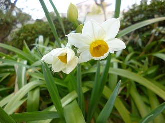 f:id:cangael:20130305135852j:image:left