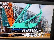 f:id:cangael:20130305191533j:image