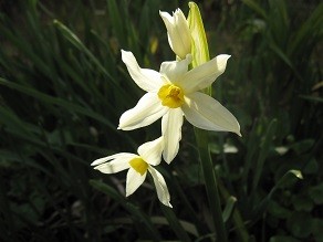f:id:cangael:20130314162335j:image:left