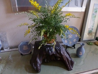 f:id:cangael:20130326154556j:image:right