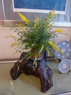 f:id:cangael:20130326154806j:image:right