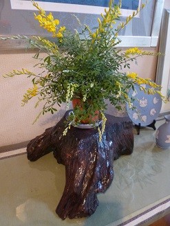 f:id:cangael:20130326154932j:image:right