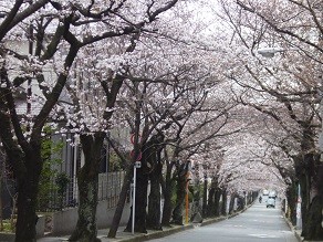 f:id:cangael:20130327114702j:image