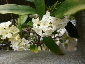 f:id:cangael:20130327115055j:image