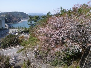 f:id:cangael:20130330105054j:image:right f:id:cangael:20130330105054j:image:right