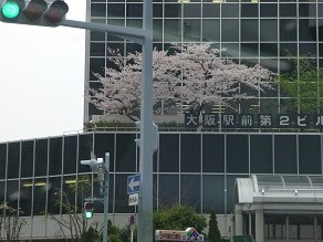 f:id:cangael:20130402162102j:image f:id:cangael:20130402162102j:image