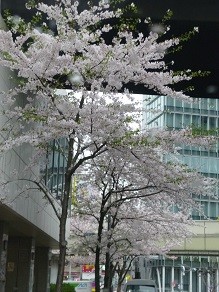 f:id:cangael:20130402162158j:image:left f:id:cangael:20130402162158j:image:left