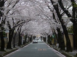 f:id:cangael:20130403115130j:image:right f:id:cangael:20130403115130j:image:right