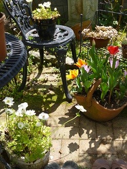 f:id:cangael:20130404124430j:image:right