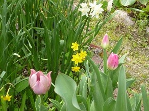 f:id:cangael:20130404160724j:image:left