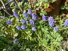 f:id:cangael:20130405132517j:image:right