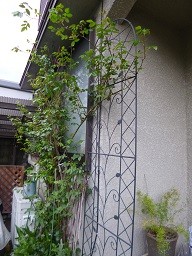 f:id:cangael:20130407082343j:image:left