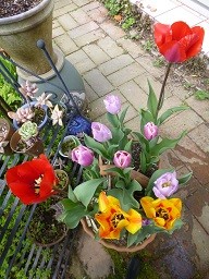 f:id:cangael:20130408113312j:image:left