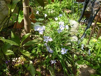 f:id:cangael:20130408113527j:image:right