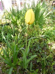 f:id:cangael:20130408153924j:image:left