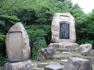 f:id:cangael:20130411153535j:image:right