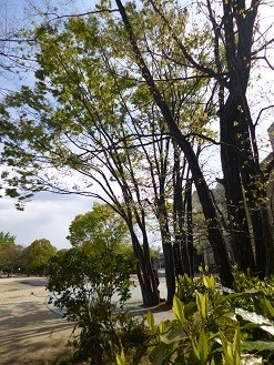 f:id:cangael:20130412143622j:image