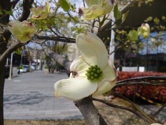 f:id:cangael:20130412144231j:image f:id:cangael:20130412144231j:image