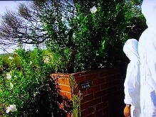 f:id:cangael:20130414161128j:image:right f:id:cangael:20130414161128j:image:right