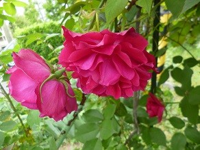 f:id:cangael:20130420145753j:image:right