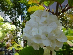 f:id:cangael:20130428112258j:image:right f:id:cangael:20130428112258j:image:right