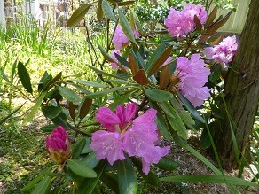 f:id:cangael:20130428112548j:image:right f:id:cangael:20130428112548j:image:right