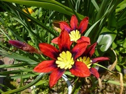 f:id:cangael:20130428112812j:image:right