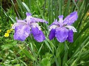 f:id:cangael:20130430082506j:image:left f:id:cangael:20130430082506j:image:left