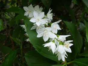 f:id:cangael:20130430143953j:image:right