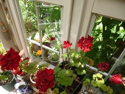 f:id:cangael:20130514104524j:image:right