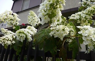 f:id:cangael:20130606162629j:image:right f:id:cangael:20130606162629j:image:right