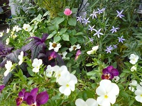 f:id:cangael:20130608063329j:image:right