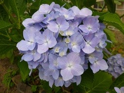 f:id:cangael:20130609153707j:image:right