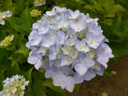 f:id:cangael:20130609153837j:image:right