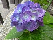 f:id:cangael:20130619073618j:image:left