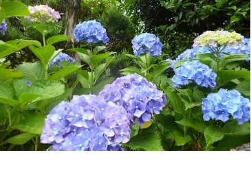 f:id:cangael:20130619114758j:image:right f:id:cangael:20130619114758j:image:right