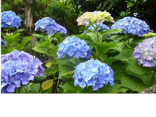f:id:cangael:20130619114809j:image:right