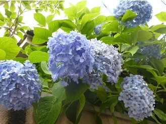 f:id:cangael:20130621135105j:image:right