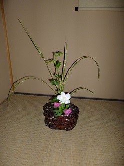 f:id:cangael:20130621135539j:image:left f:id:cangael:20130621135539j:image:left